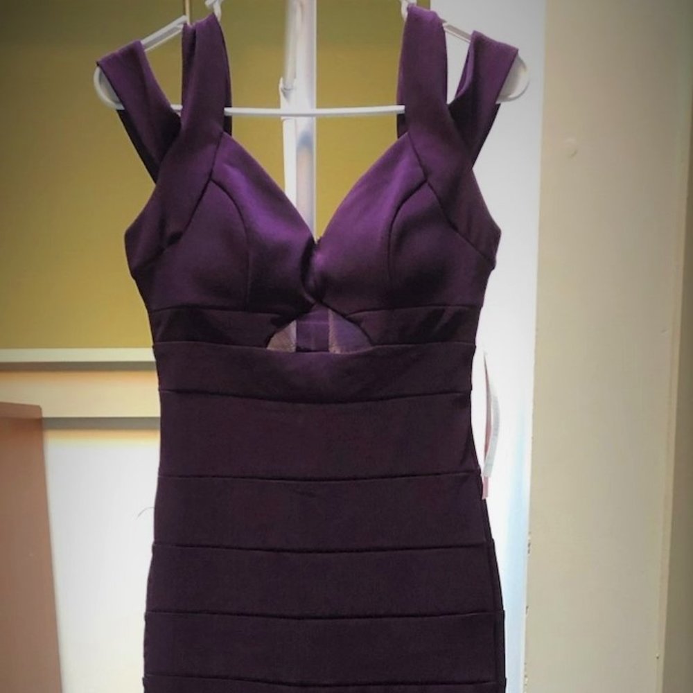 EMERALD SUNDAE Women Purple Formal Dres